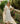 Lindos Dress in Meadow Flower